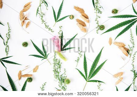 Floral Pattern With Wildflowers And Green Cannabis Leaves.overhead Top View, Flat Lay.