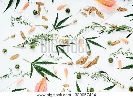 Floral Pattern With Wildflowers And Green Cannabis Leaves.overhead Top View, Flat Lay.