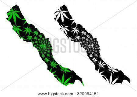 Sohag Governorate (governorates Of Egypt, Arab Republic Of Egypt) Map Is Designed Cannabis Leaf Gree