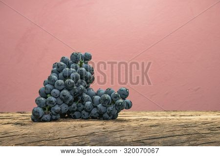 Beautiful Wine Kadarka Grapes On A Old Oak Wooden Table And Red Wall Background.