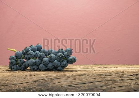 Beautiful Wine Kadarka Grapes On A Old Oak Wooden Table And Red Wall Background.