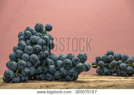 Beautiful Wine Kadarka Grapes On A Old Oak Wooden Table And Red Wall Background.