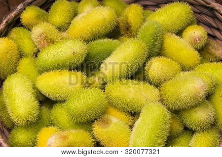 Basket With The Fruits Of A Exploding Cucumber (ecballium Elaterium).