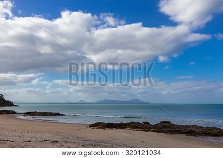 Pink Seaweed On Waipu Beach, New Zealand