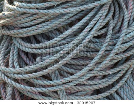 Roped in