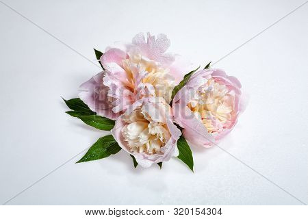 Bouquet Of Flowers On An Isolated Studio Abckground