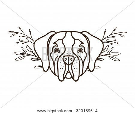 Head Of Cute San Bernardo Dog On White Background Vector Illustration Design