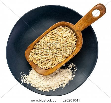 whole, organic oat groats on a rustic wooden scoop and gluten free oat flour on an isolated black plate