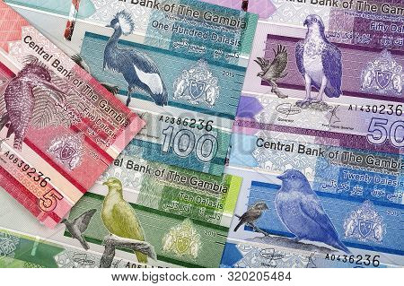 New Series Of Gambian Dalasi, A Background