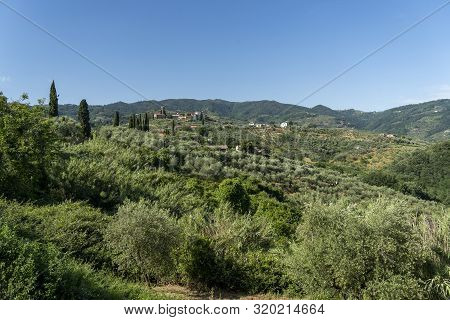 Rural Landscape From Buggiano Castello, Historic Town Near Montecatini, Pistoia, Tuscany, Italy, Wit