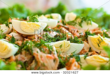 molla insalata con carot, foglie e uovo