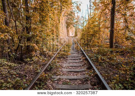 a railway in the autumn forest tunnel of love