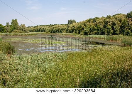 Views Of Hungarian Nature Reserve Kis Balaton (little Balaton),hungary,europe