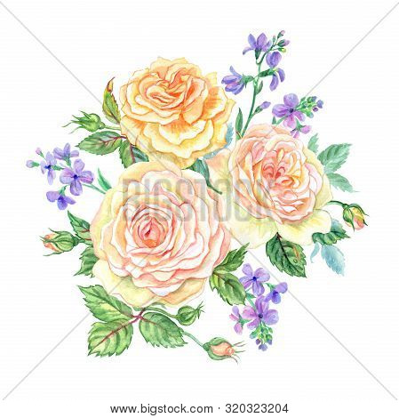 Bouquet Of Tender Tea Roses And Gillyflowers, Watercolor Painting On A White Background Isolated.