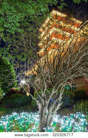 Looking Up Through The Trees At The Jinhea Tower Lit Up At Night In Jewangsan Park In South Korea.