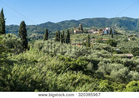 Rural Landscape From Buggiano Castello, Historic Town Near Montecatini, Pistoia, Tuscany, Italy, Wit