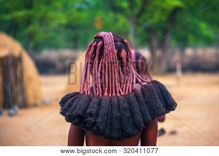 Traditional Hairstyle Of Women In The Himba Tribe Photographed From Behind. The Himba People Are Ind