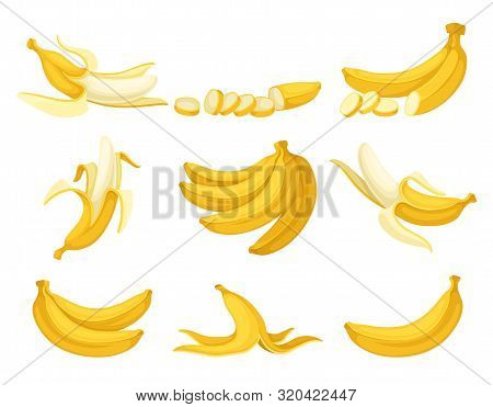 Set Of Bananas. Vector Illustration On A White Background.