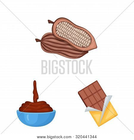 Vector Design Of Cocoa And Beans Sign. Set Of Cocoa And Sweetness Stock Symbol For Web.