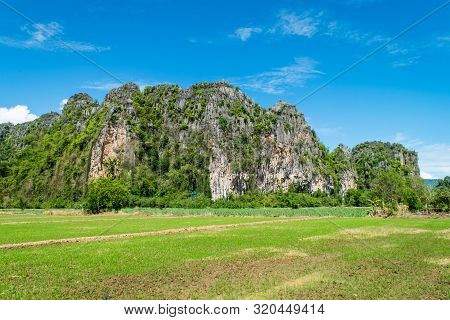 Rice Farm With Limestone Mountain Range At Noen Maprang , Phitsanulok Province In Thailand
