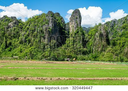 Rice Farm With Limestone Mountain Range At Noen Maprang , Phitsanulok Province In Thailand