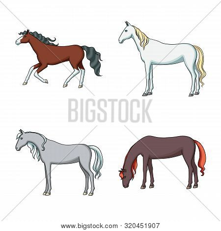 Vector Design Of Animal And Stallion Sign. Set Of Animal And Farm Vector Icon For Stock.
