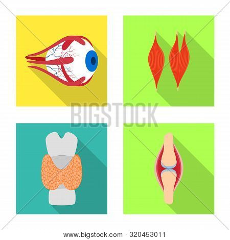 Vector Illustration Of Human And Health Icon. Set Of Human And Scientific Vector Icon For Stock.