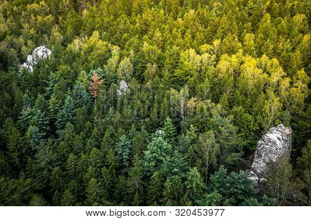 The Lusatian Mountains Protected Landscape Area Is A Protected Area Of 267 Km2 Established In 1976 T
