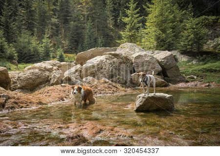 Bedrichov Is A Village In The Liberec Region Of The Czech Republic. It Is Located About 8 Km North-n