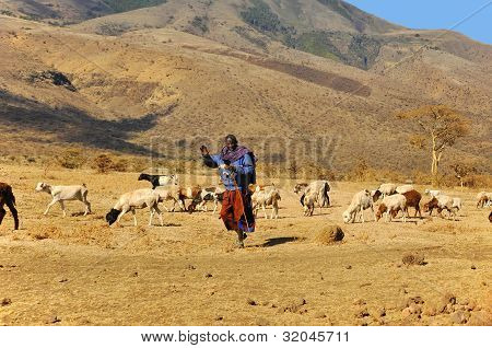 NGOROGORO-TANZANIE