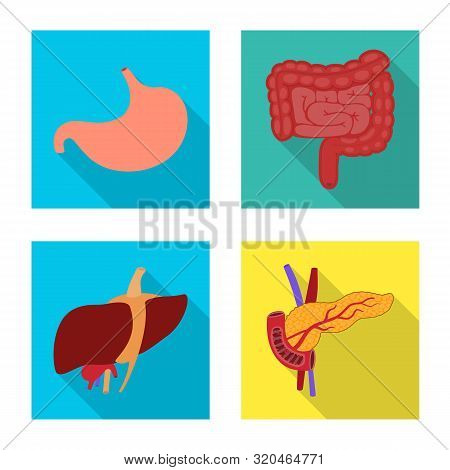 Vector Design Of Human And Health Sign. Collection Of Human And Scientific Stock Symbol For Web.