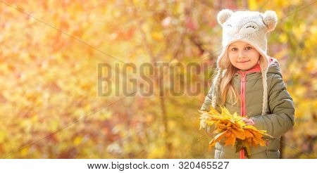 cute little girl in an autumn forest