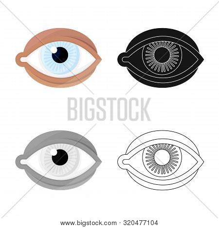 Isolated Object Of Eye And Eyeball Icon. Set Of Eye And Blue Vector Icon For Stock.