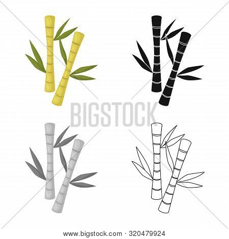 Vector Design Of Bamboo And Green Sign. Collection Of Bamboo And Botanical Stock Vector Illustration