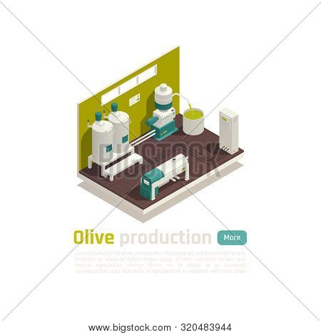 Olive Oil Production Facility Automated Line Isometric Element With Large Capacity Industrial Centri