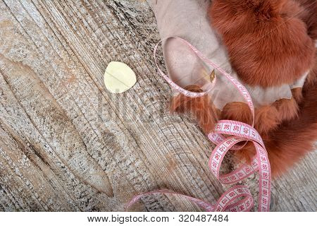 Brown Rabbit Fur For Sewing, Centimeter And Chalk On Wooden Background.