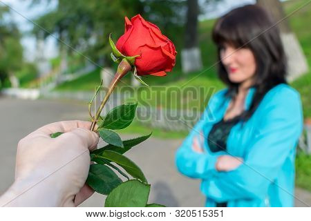 A Man Hand Holds Out A Red Rose As A Sign Of Reconciliation, Apology, Against The Offended Girl