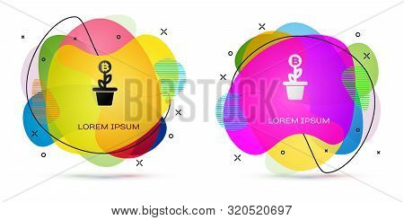 Color Bitcoin Plant In The Pot Icon On White Background. Business Investment Growth Concept. Blockch
