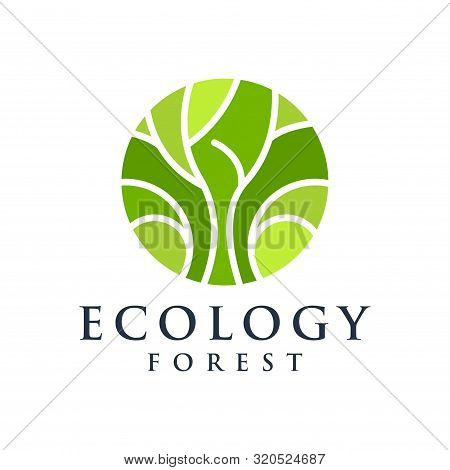 Tree Root Circle Logo - Vector Illustration Design On A Light Background