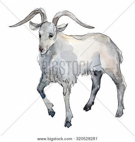 Goat Farm Animal Isolated. Watercolor Background Illustration Set. Isolated Goat Illustration Elemen