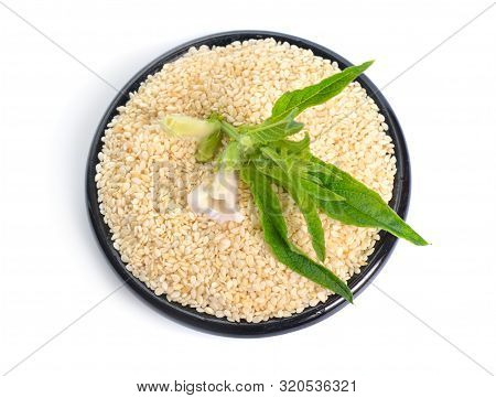 Sesame Plant With Flowers And Seed Isolated On White Background