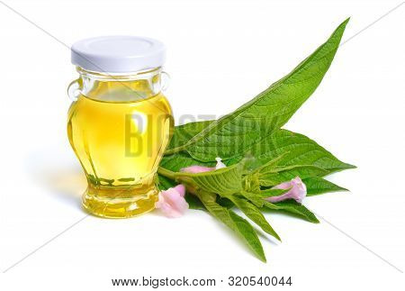 Sesame Oil With Plant Isolated On White Background