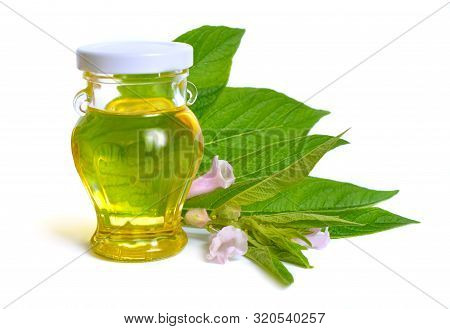 Sesame Oil With Plant Isolated On White Background