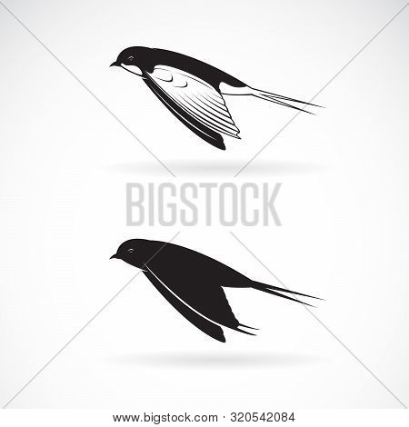 Vector Of Barn Swallow Flying Design On White Background. Bird Icon Or Logo. Wild Animals. Easy Edit