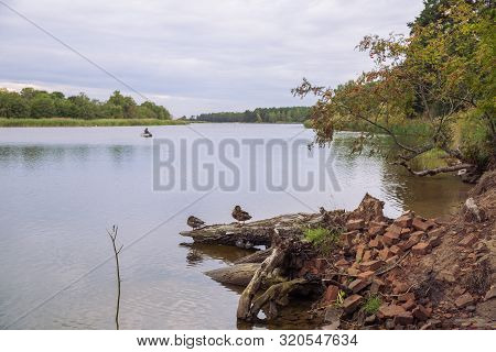 City Carnikava, Latvian Republic. Green Nature In Summer With River Gauja And Waves. Travel Photo. S