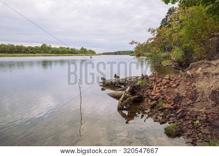 City Carnikava, Latvian Republic. Green Nature In Summer With River Gauja And Waves. Travel Photo. S