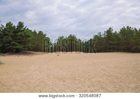 City Carnikava, Latvian Republic. Green Nature In Summer With Pines. Travel Photo. Sep 04. 2019.