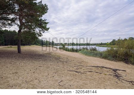 City Carnikava, Latvian Republic. Green Nature In Summer With River Gauja And Waves. Travel Photo. S