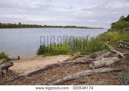 City Carnikava, Latvian Republic. Green Nature In Summer With River Gauja And Waves. Travel Photo. S