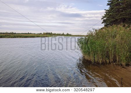 City Carnikava, Latvian Republic. Green Nature In Summer With River Gauja And Waves. Travel Photo. S